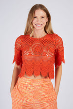 01581 Top