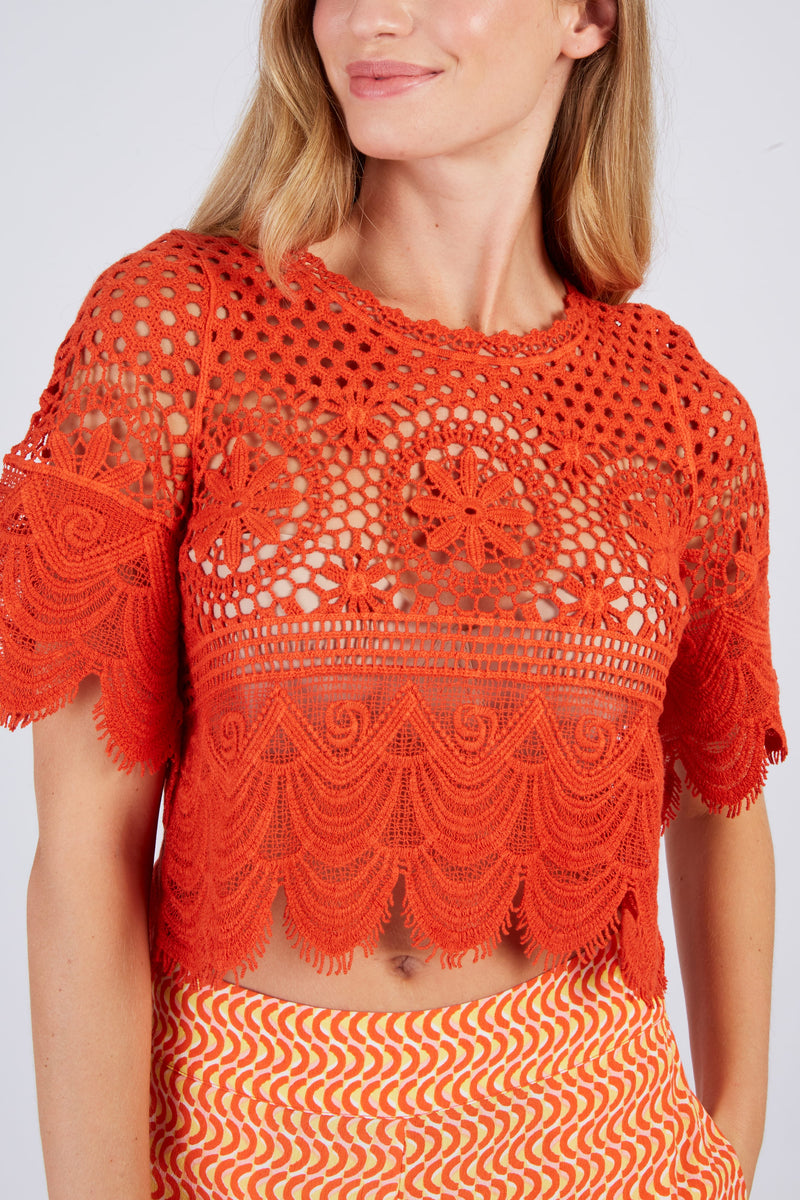 01581 Top